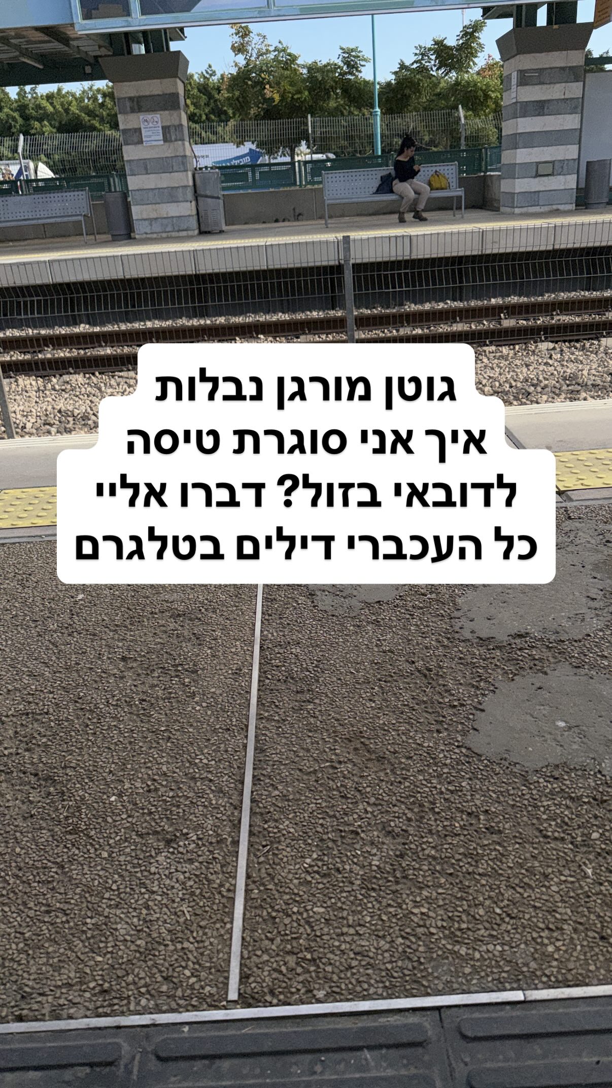 shelly_.mor instagram image archive image