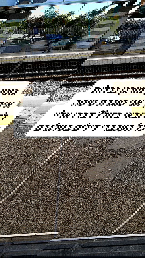 shelly_.mor image ~ Altpins