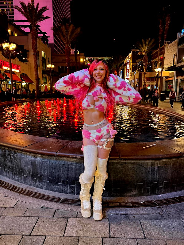 pixelpuppi instagram image archive image