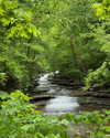 rouxroux.tv Altpins Profile Picture