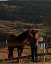 tooonytoony Altpins Profile Picture