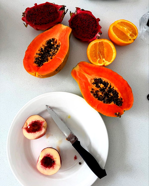 laurenhamden instagram image archive image