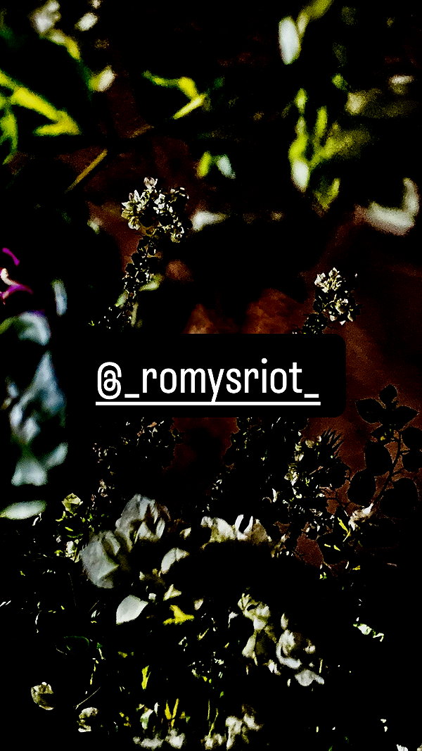 Archived image from @romy_ayalla_lavi on Instagram
