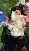 leonanaomii Altpins Profile Picture