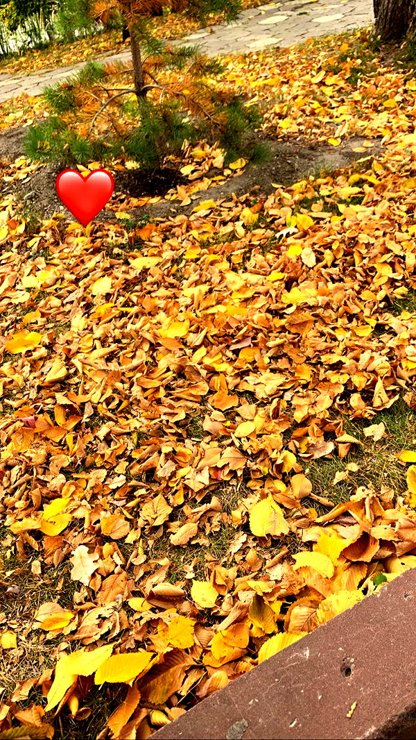nyiityam instagram image archive image