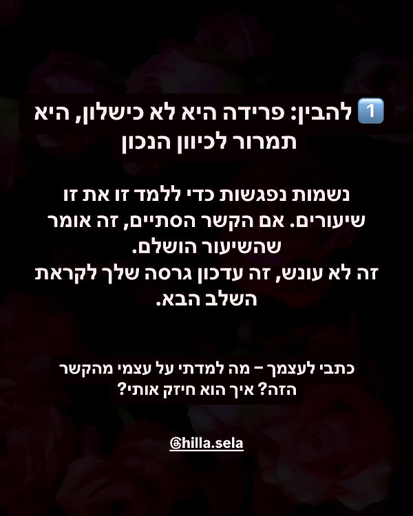 hilla.sela instagram image archive image