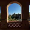 taratornquist Altpins Profile Picture