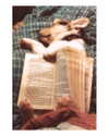 katehudson Altpins Profile Picture