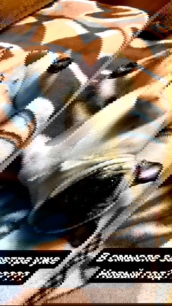 nyityam nyityam archive image