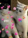 milkiwifey Altpins Profile Picture
