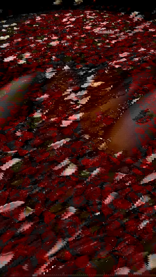 taylor.creeden taylor.creeden archive image