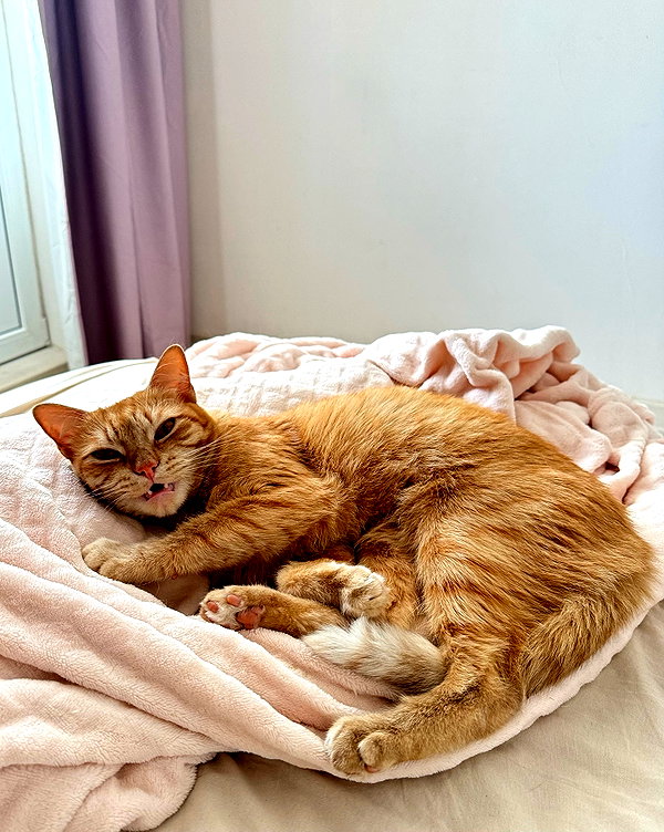 owlydiaa instagram image archive image