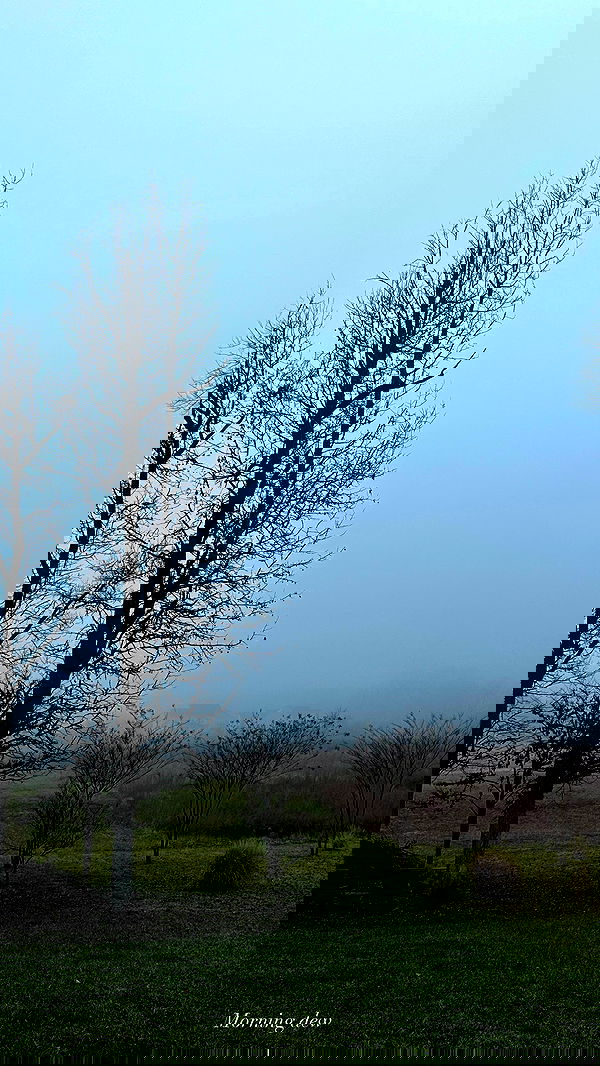 taylor.creeden taylor.creeden archive image