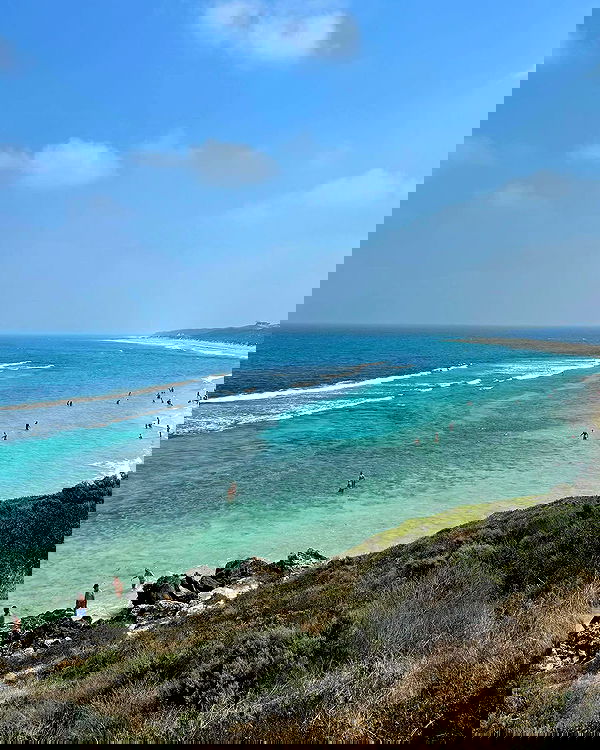 jtilb2 image ~ Altpins