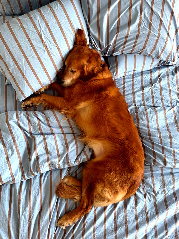 Archived image from @edenharper on Instagram