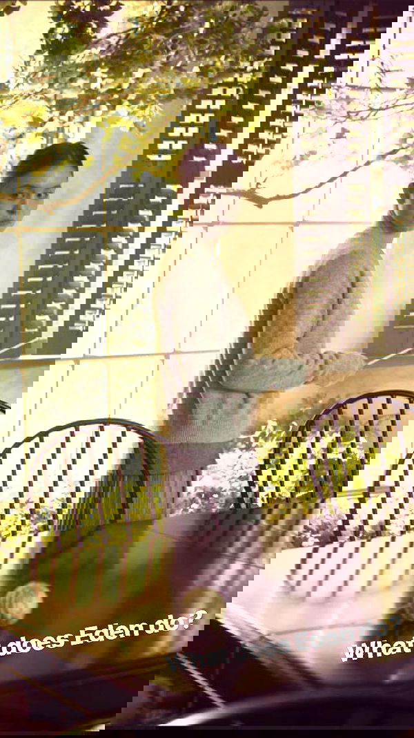 sydney_sweeney sydney_sweeney archive image