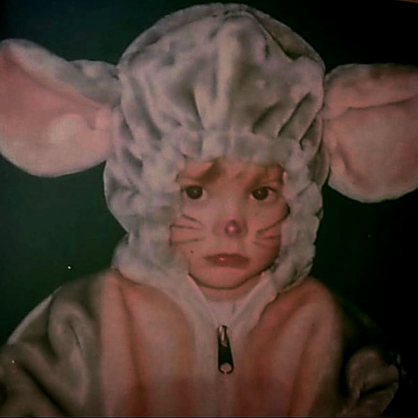 taxevasionkoala instagram image archive image