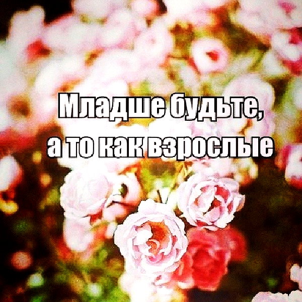 sychevskaya instagram image archive image