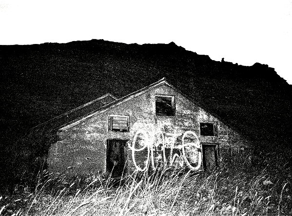 bugz4brainz instagram image archive image