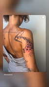 alma.almog Altpins Profile Picture