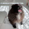 katrina.zaiceva Altpins Profile Picture