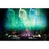 shakira Altpins Profile Picture