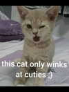 milkiwifey Altpins Profile Picture