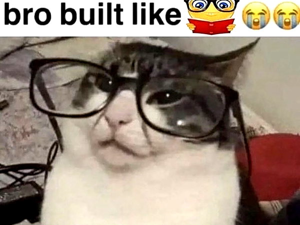 _littlerobin_ instagram image archive image