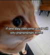 ellaexplicit_ Altpins Profile Picture