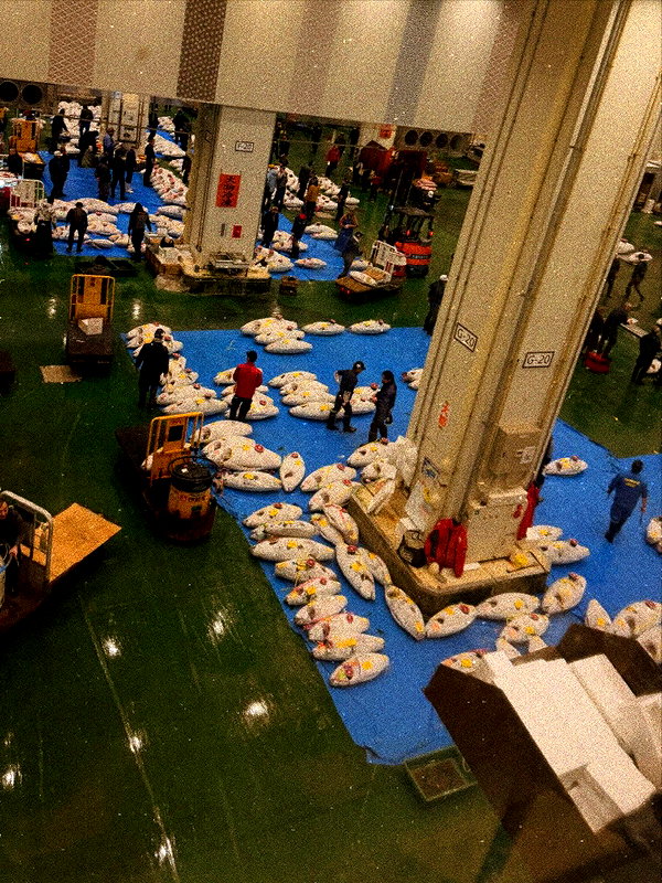 lilbieber instagram image archive image