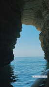 federica.piccinni Altpins Profile Picture