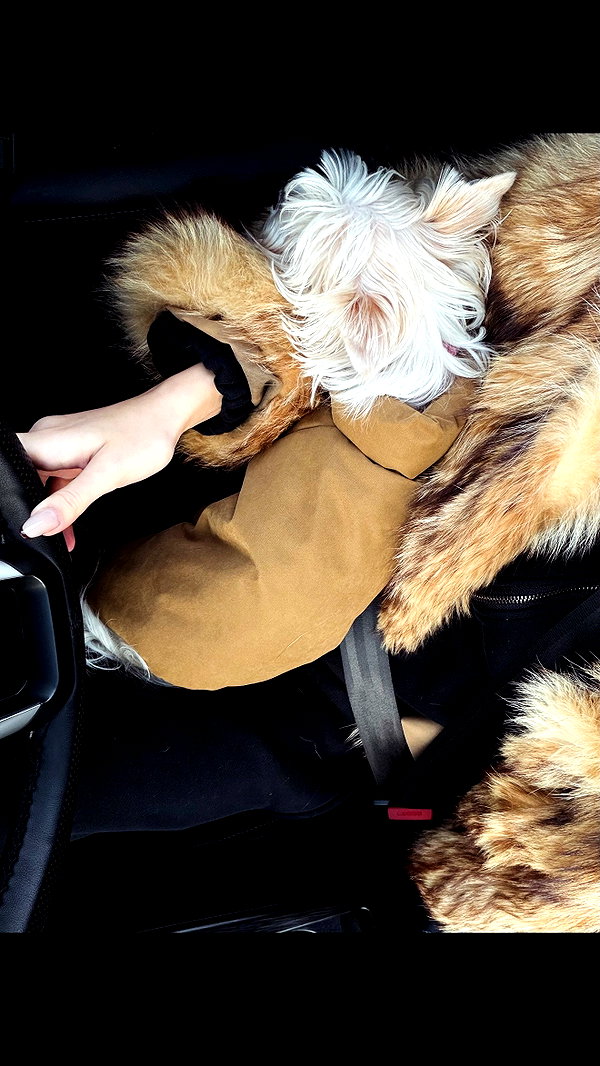 kkwwwv instagram image archive image