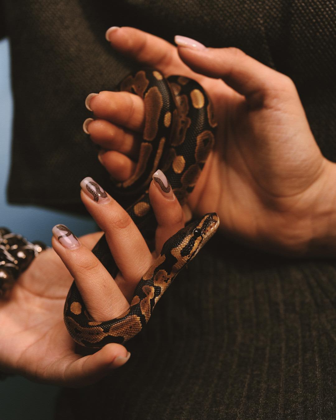 kkulakovaa instagram image archive image