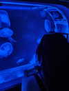 nishymoon_ Altpins Profile Picture
