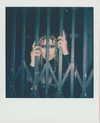 xtina Altpins Profile Picture