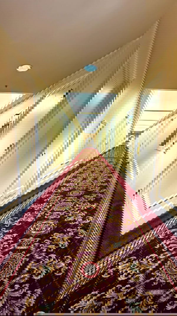 zommmbri zommmbri archive image