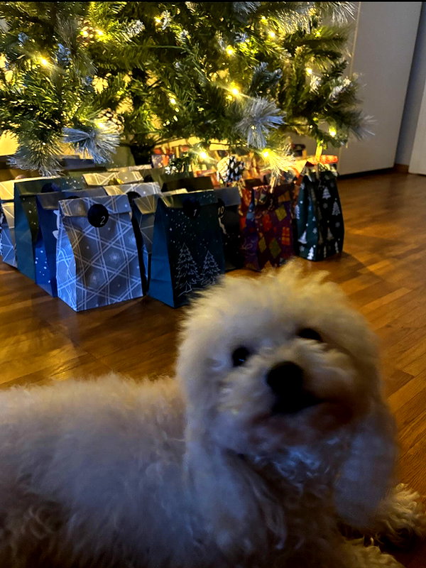 melsaimc instagram image archive image