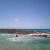 gisellelee8 Altpins Profile Picture