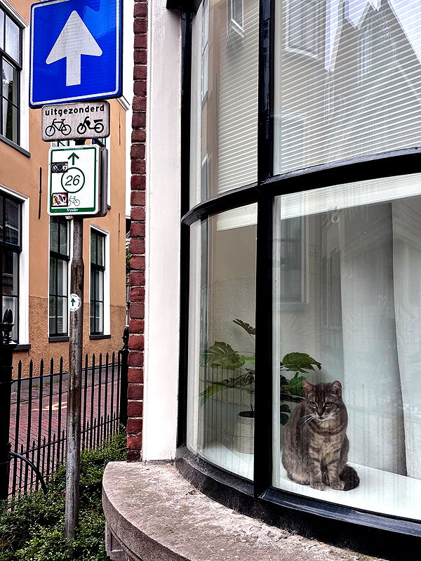 mollieruck instagram image archive image