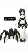 alice_hez Altpins Profile Picture
