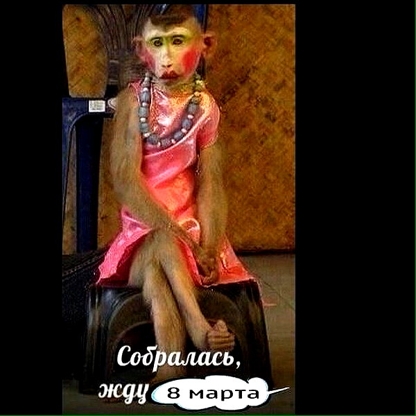 sychevskaya instagram image archive image