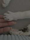 cata.leyah Altpins Profile Picture