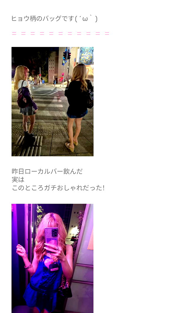 piyokoblog archive image