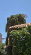 avital_1010.2003 Altpins Profile Picture