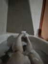 onlmeow Altpins Profile Picture