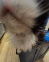 777pb_ Altpins Profile Picture