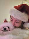 ll.lu1s Altpins Profile Picture