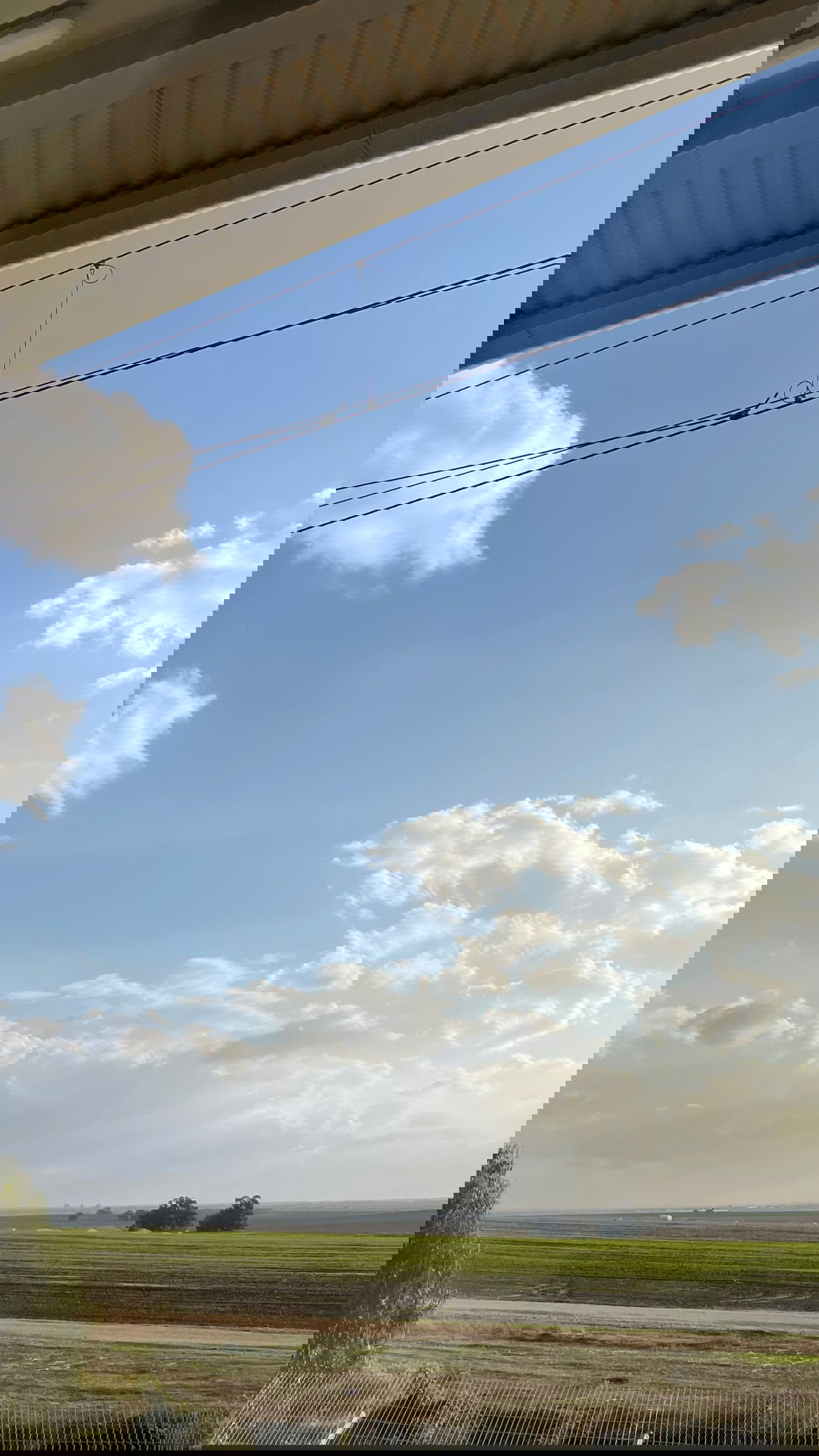 efrat_elmalich instagram image archive image