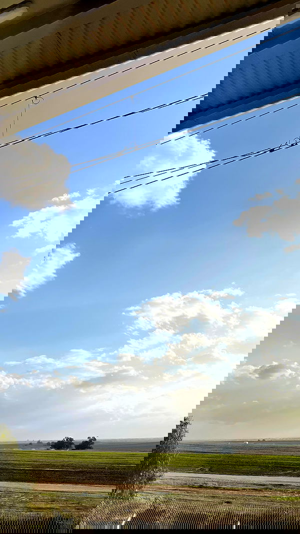 efrat_elmalich image ~ Altpins