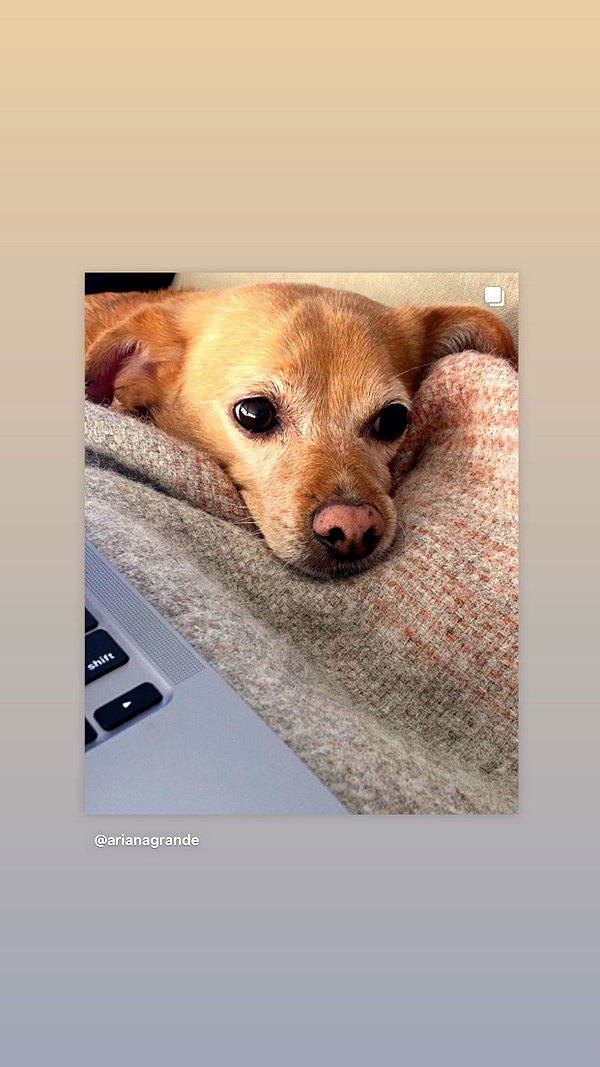 arianagrande instagram image archive image
